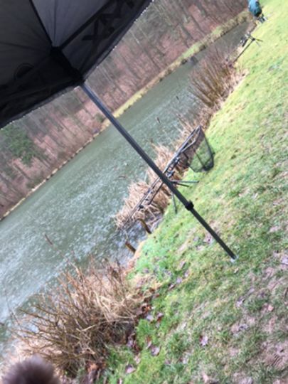 Teichanlage Teichental-4