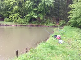 Teichanlage Teichental