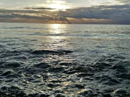 Ostsee (Fehmarn-Klausdorf)-2