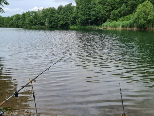 Waldsee (Hackenbroich)-4