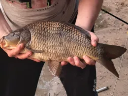 Waldsee (Hackenbroich)-3