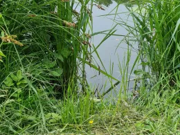 Ritzer Brücke (Salzwedel)-1