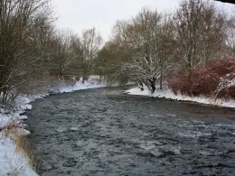 Wupper (Leverkusen)-2