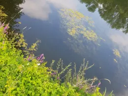 Restloch 1 (Rudolstadt)-2