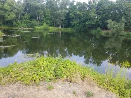 Restloch 1 (Rudolstadt)