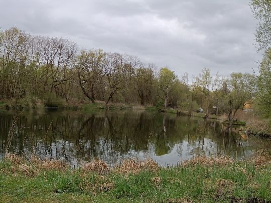 Restloch 1 (Rudolstadt)-4