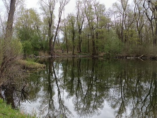 Restloch 1 (Rudolstadt)-3