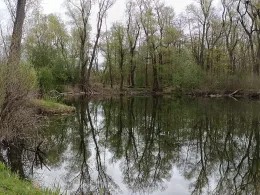 Restloch 1 (Rudolstadt)-3