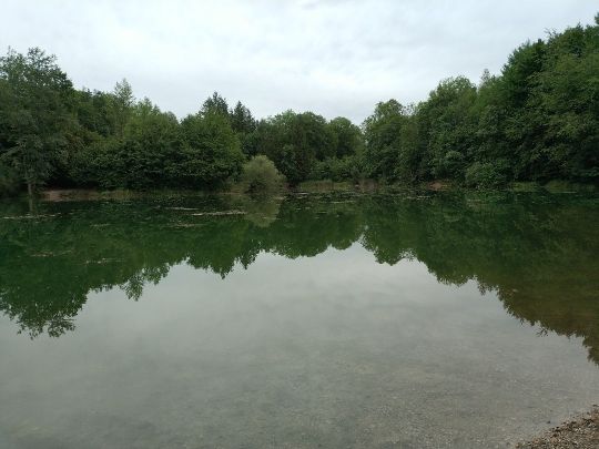 Ausee (Freilassing)