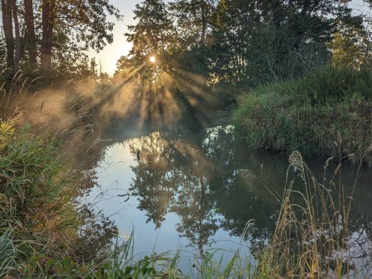 Schmutter (Diedorf)-4