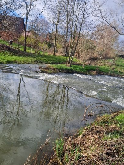 Schunter (Glentorf)-1