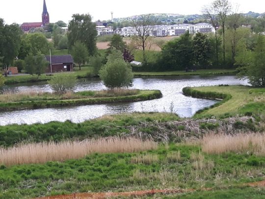 Brack 4 (Buxtehude)-1