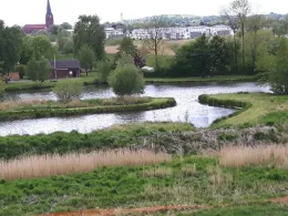 Brack 4 (Buxtehude)-1