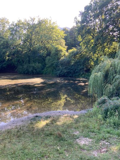 Greifenberg Teich ALLE ANGELN