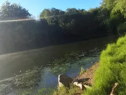 Doktorsee 2 (Rinteln)-4