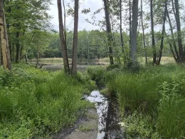 Baggerteich (Crivitz)