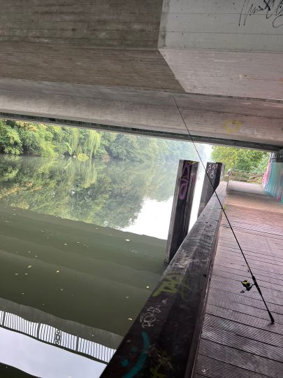 Alster (Hamburg-Ohlsdorf)-1