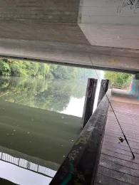 Alster (Hamburg-Ohlsdorf)-1