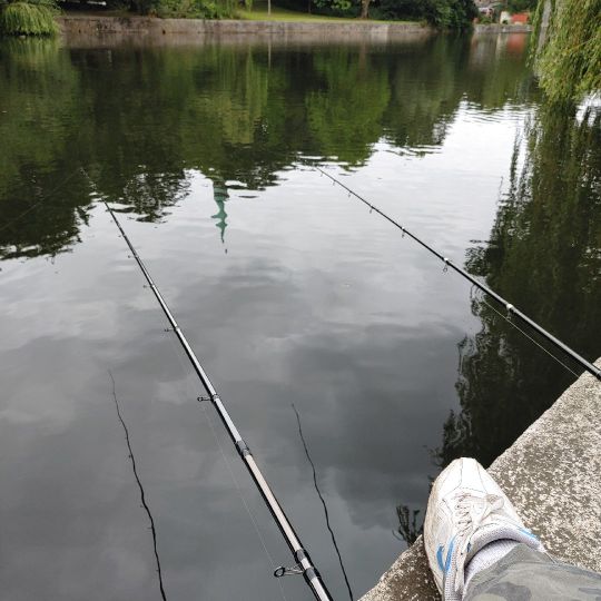 Alster (Hamburg-Ohlsdorf)-3