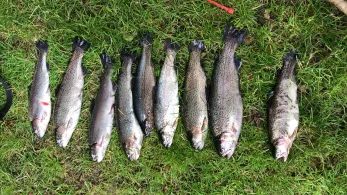 Forellenhof Königsmühle