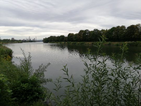 Stichkanal Salzgitter (Salzgitter)-2