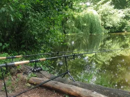 Ellernteich (Reinstedt)-2