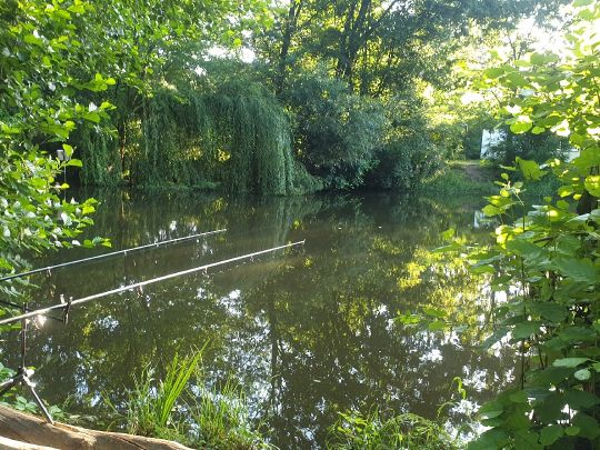 Ellernteich (Reinstedt)-1