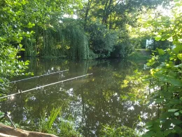 Ellernteich (Reinstedt)-1