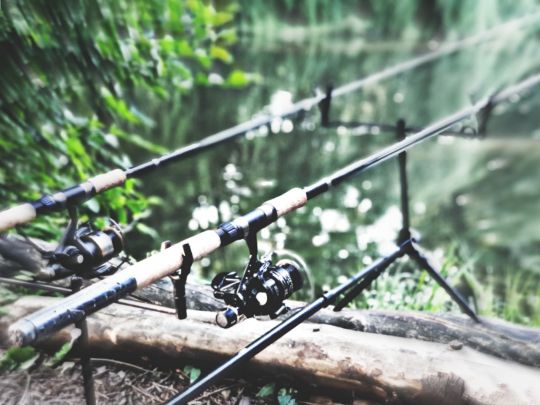 Ellernteich (Reinstedt)-3