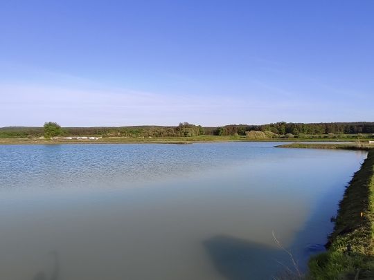 Frischenweiher (Weppersdorf)