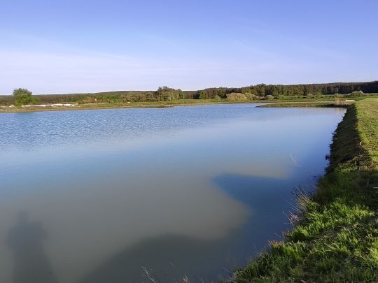 Frischenweiher (Weppersdorf)-1