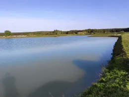 Frischenweiher (Weppersdorf)-1