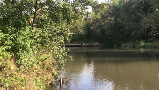 Fränkische Saale (Bad Kissingen)-3