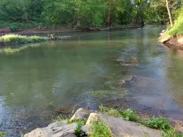 Fränkische Saale (Bad Kissingen)-2