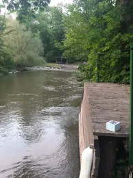 Fränkische Saale (Bad Kissingen)-1