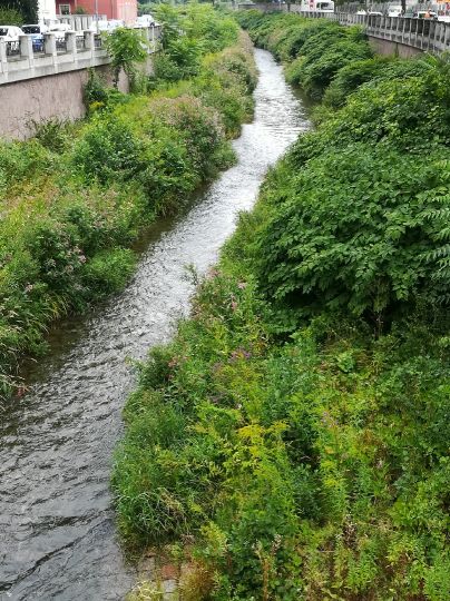 Große Triebisch (Meißen)-1