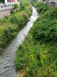 Große Triebisch (Meißen)-1