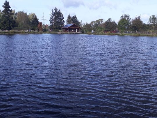 Angelteich Pöhlde angeln