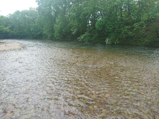 Gera-Flutgraben (Erfurt)-1