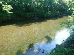 Gera-Flutgraben (Erfurt)