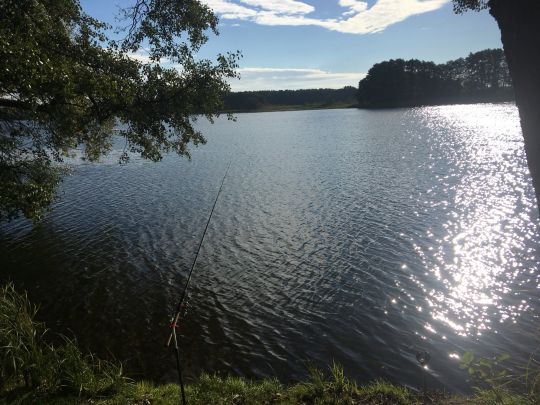 Orthsee (Hohen Wagelin)-4