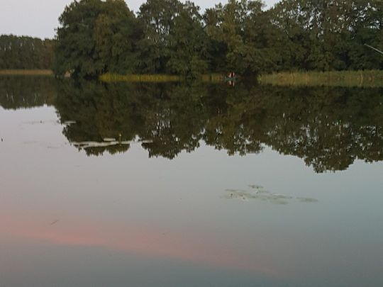 Orthsee (Hohen Wagelin)-2