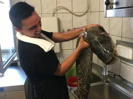 Saar (Völklingen)-3