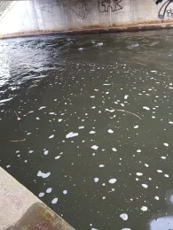 Dosse (Wusterhausen/Dosse)