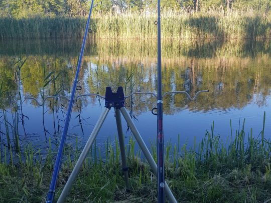 Alte Oder (Manschow)-1