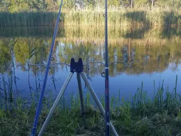 Alte Oder (Manschow)-1