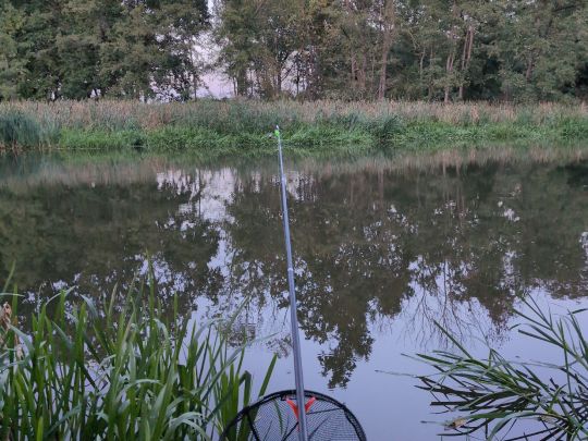 Alte Oder (Manschow)-3