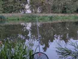 Alte Oder (Manschow)-3