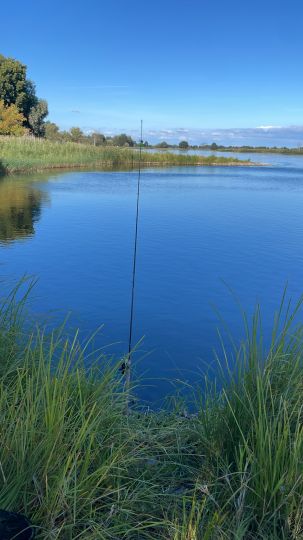 Alte Oder (Manschow)-4