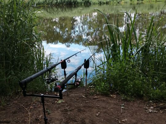 Alte Oder (Manschow)-2